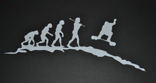 25cm evolution landboard - 1,